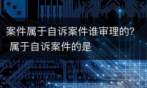 案件属于自诉案件谁审理的？ 属于自诉案件的是