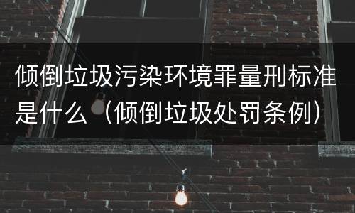 倾倒垃圾污染环境罪量刑标准是什么（倾倒垃圾处罚条例）
