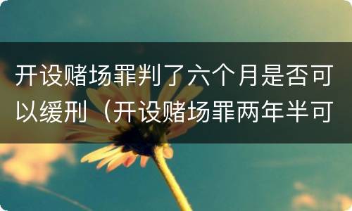 开设赌场罪判了六个月是否可以缓刑（开设赌场罪两年半可以减刑吗）