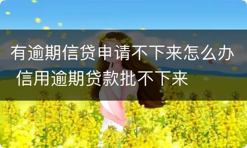有逾期信贷申请不下来怎么办 信用逾期贷款批不下来