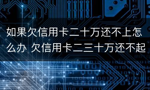 如果欠信用卡二十万还不上怎么办 欠信用卡二三十万还不起怎么办