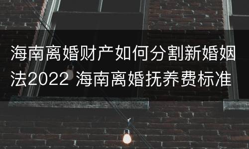 海南离婚财产如何分割新婚姻法2022 海南离婚抚养费标准