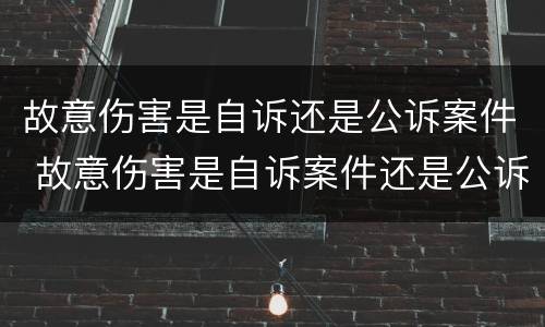 故意伤害是自诉还是公诉案件 故意伤害是自诉案件还是公诉案件