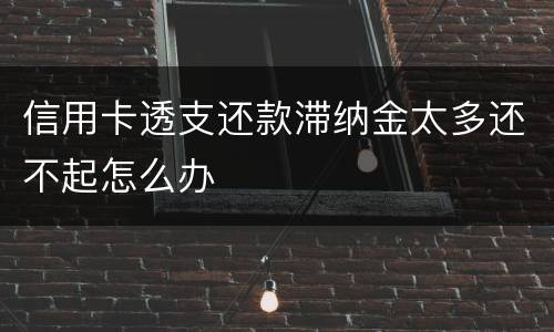 信用卡透支还款滞纳金太多还不起怎么办