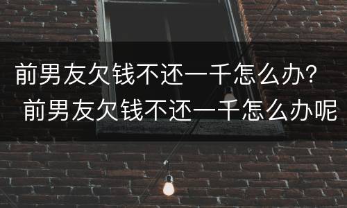 前男友欠钱不还一千怎么办？ 前男友欠钱不还一千怎么办呢