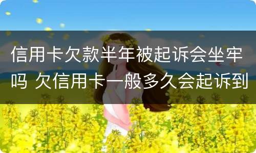 信用卡欠款半年被起诉会坐牢吗 欠信用卡一般多久会起诉到法院