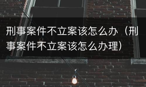 刑事案件不立案该怎么办（刑事案件不立案该怎么办理）