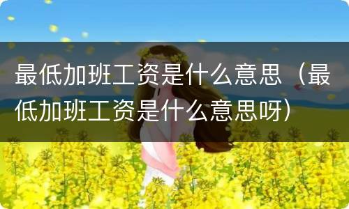 最低加班工资是什么意思（最低加班工资是什么意思呀）