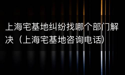 上海宅基地纠纷找哪个部门解决（上海宅基地咨询电话）
