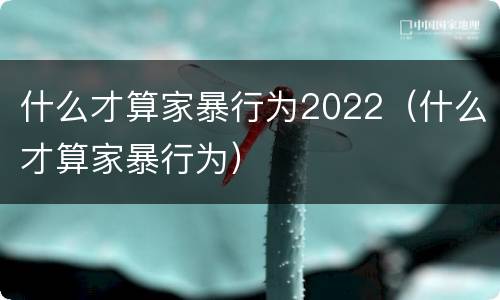 什么才算家暴行为2022（什么才算家暴行为）