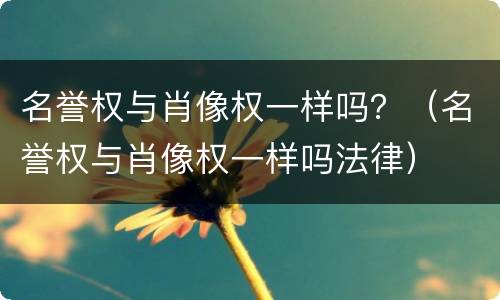 名誉权与肖像权一样吗？（名誉权与肖像权一样吗法律）