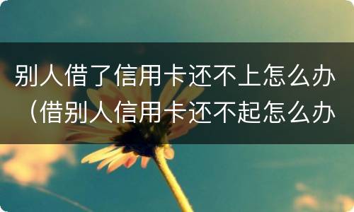 别人借了信用卡还不上怎么办（借别人信用卡还不起怎么办）