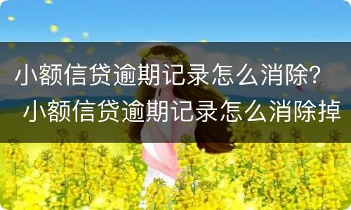 小额信贷逾期记录怎么消除？ 小额信贷逾期记录怎么消除掉