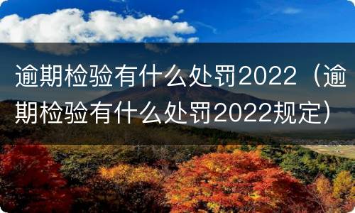 逾期检验有什么处罚2022（逾期检验有什么处罚2022规定）