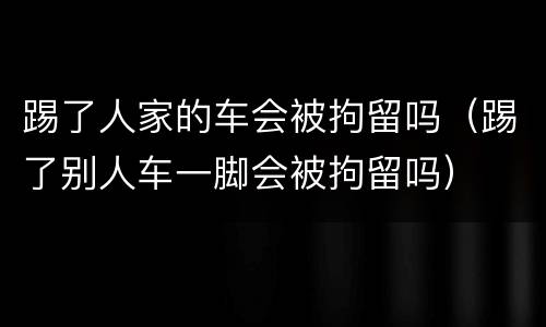 踢了人家的车会被拘留吗（踢了别人车一脚会被拘留吗）