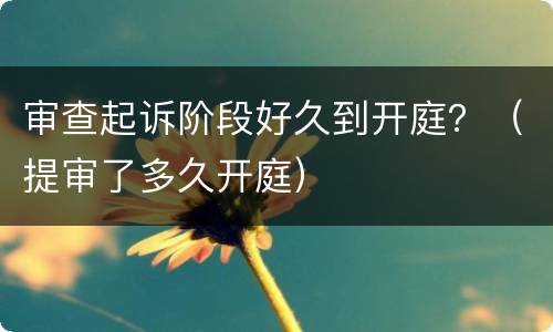 审查起诉阶段好久到开庭？（提审了多久开庭）