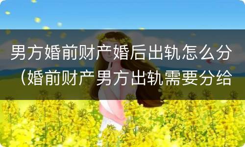 男方婚前财产婚后出轨怎么分（婚前财产男方出轨需要分给女方吗）
