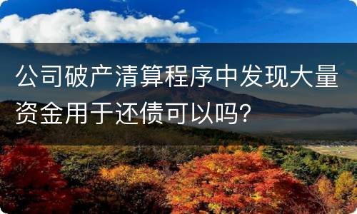 公司破产清算程序中发现大量资金用于还债可以吗？