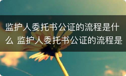 监护人委托书公证的流程是什么 监护人委托书公证的流程是什么啊