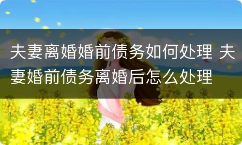 夫妻离婚婚前债务如何处理 夫妻婚前债务离婚后怎么处理