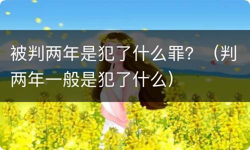 被判两年是犯了什么罪？（判两年一般是犯了什么）