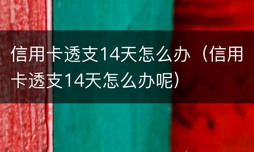 信用卡透支14天怎么办（信用卡透支14天怎么办呢）