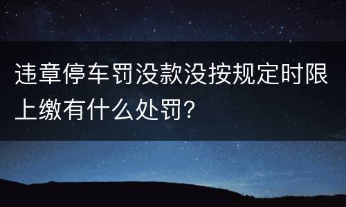 违章停车罚没款没按规定时限上缴有什么处罚？