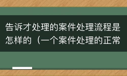 告诉才处理的案件处理流程是怎样的（一个案件处理的正常流程）