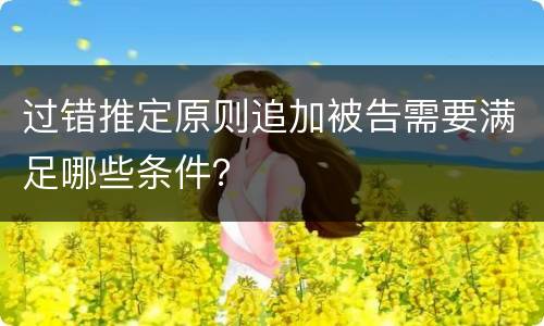 过错推定原则追加被告需要满足哪些条件？