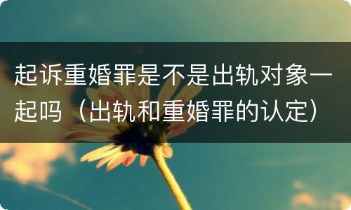 起诉重婚罪是不是出轨对象一起吗（出轨和重婚罪的认定）