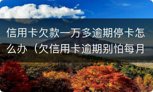 信用卡欠款一万多逾期停卡怎么办（欠信用卡逾期别怕每月还一千）