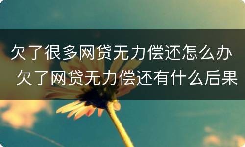 欠了很多网贷无力偿还怎么办 欠了网贷无力偿还有什么后果