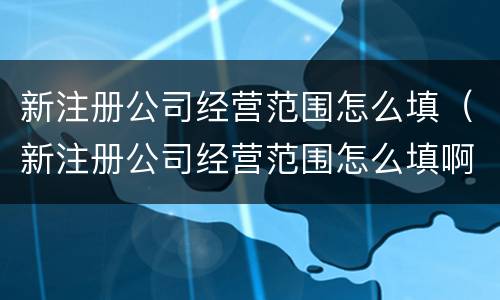 新注册公司经营范围怎么填（新注册公司经营范围怎么填啊）