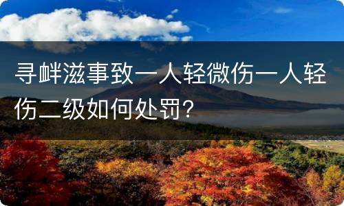 寻衅滋事致一人轻微伤一人轻伤二级如何处罚？