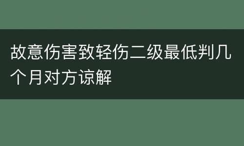 故意伤害致轻伤二级最低判几个月对方谅解