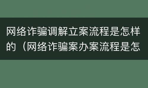 网络诈骗调解立案流程是怎样的（网络诈骗案办案流程是怎样的啊）