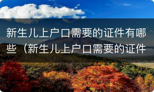 新生儿上户口需要的证件有哪些（新生儿上户口需要的证件有哪些内容）