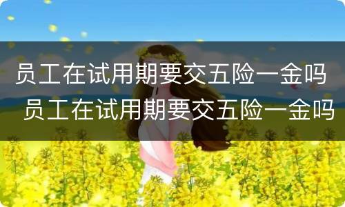 员工在试用期要交五险一金吗 员工在试用期要交五险一金吗合法吗
