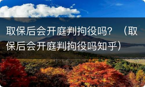 取保后会开庭判拘役吗？（取保后会开庭判拘役吗知乎）