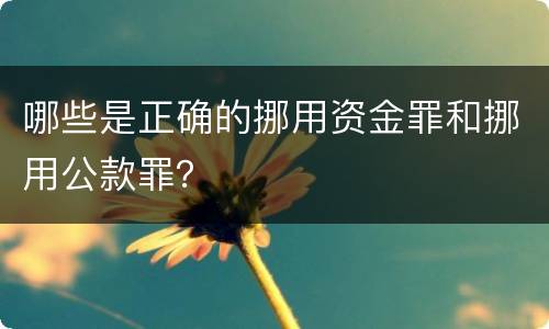 哪些是正确的挪用资金罪和挪用公款罪？