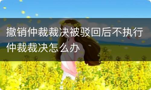 撤销仲裁裁决被驳回后不执行仲裁裁决怎么办