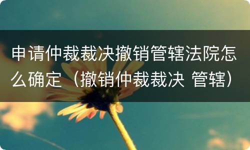 申请仲裁裁决撤销管辖法院怎么确定（撤销仲裁裁决 管辖）