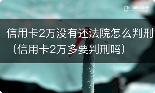 信用卡2万没有还法院怎么判刑（信用卡2万多要判刑吗）