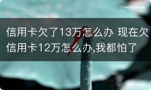 信用卡欠了13万怎么办 现在欠信用卡12万怎么办,我都怕了