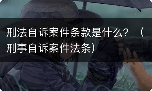 刑法自诉案件条款是什么？（刑事自诉案件法条）