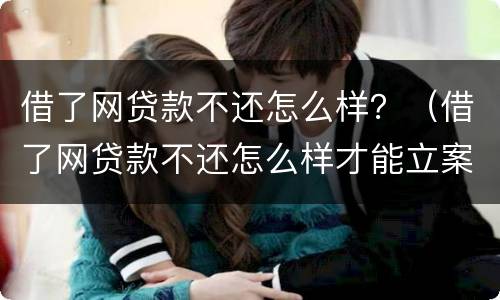 借了网贷款不还怎么样？（借了网贷款不还怎么样才能立案）