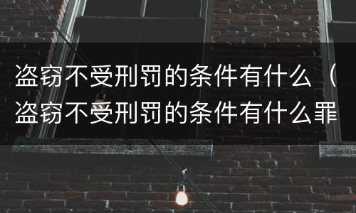 盗窃不受刑罚的条件有什么（盗窃不受刑罚的条件有什么罪）