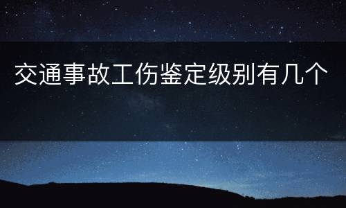 交通事故工伤鉴定级别有几个
