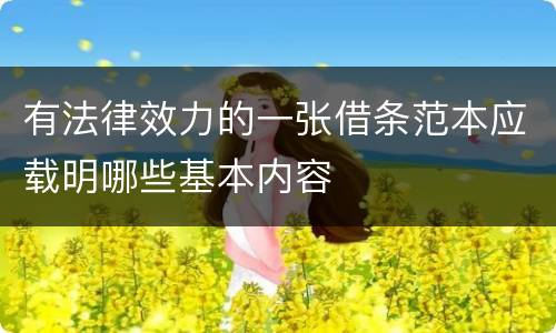有法律效力的一张借条范本应载明哪些基本内容