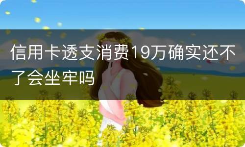 信用卡透支消费19万确实还不了会坐牢吗